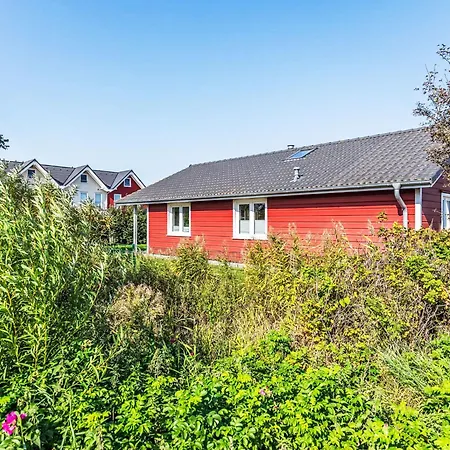 Sternschnuppe By Interhome Holiday home Dagebuell